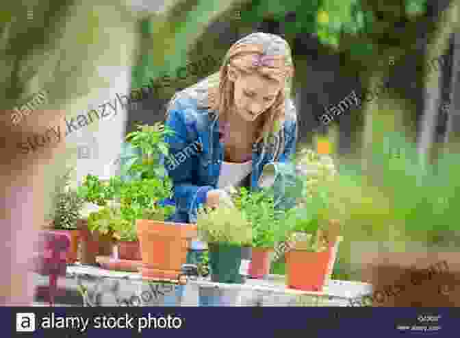 A Close Up Of A Hand Carefully Tending To A Herb Garden, Showcasing Lush Basil, Thyme, And Rosemary Plants. Cooking With Herbs: 50 Simple Recipes For Fresh Flavor