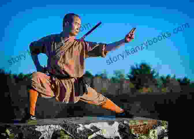 A Kung Fu Practitioner Executing A Powerful Strike Martial Musings Thoughts On Tai Chi And Other Martial Arts