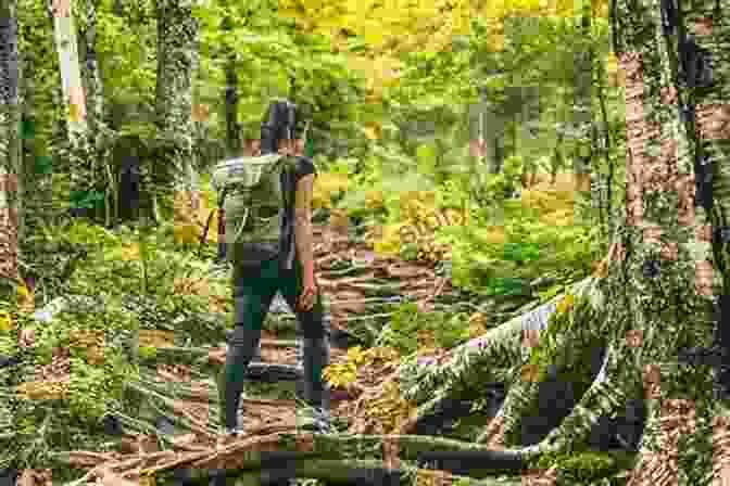 A Person Hiking In A Forest Better Health Naturally: 11 Tips About Natural Health You Can T Afford To Miss