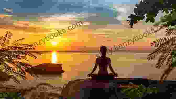 A Person Meditating In Nature, Symbolizing The Concept Of Digital Detox And Reclaiming Your Time And Well Being The Social Organism: A Radical Understanding Of Social Media To Transform Your Business And Life