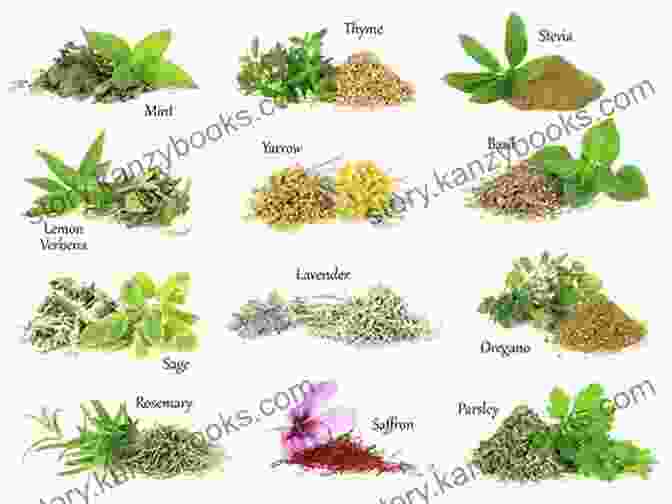 An Image Of A Variety Of Herbs Used For Healing Healing Injuries The Natural Way: How To Mend Bones Muscles Tendons And More