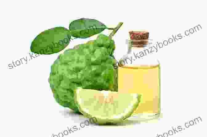 Bergamot Essential Oil And Bergamot Fruit Aromatherapy An : 25 Essential Oils And Their Healing Benefits