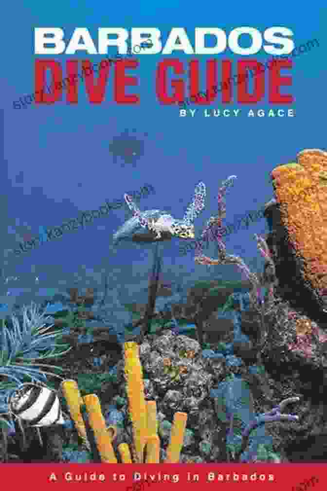 Cover Of Barbados Dive Guide By Lucy Agace Featuring A Diver Exploring A Vibrant Coral Reef With Tropical Fish Barbados Dive Guide Lucy Agace