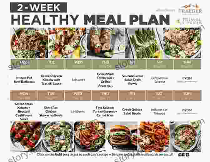 Daily Meal Plan And 50 Delicious Recipes Book Cover THE NEW ULTIMATE 2024 PLANT BASED PROTEIN COOKBOOK: DAILY MEAL PLAN AND 50+ DELICIOUS RECIPES