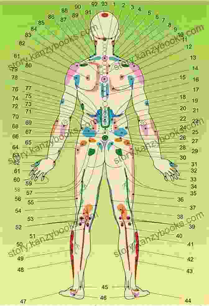 Diagram Of Acupuncture Points On The Human Body Facial Cosmetic Acupuncture: The Practical Guide For An Acupuncturist