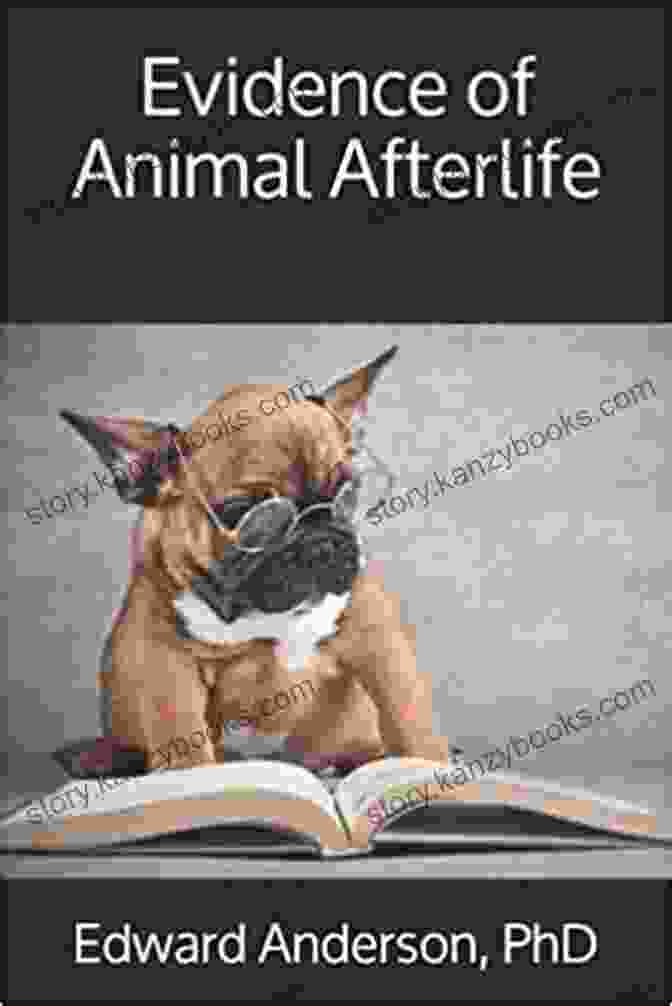 Evidence Of Animal Afterlife Book Cover Featuring A Dog And Cat Looking Up Into A Bright Light Evidence Of Animal Afterlife Mally Cox Chapman