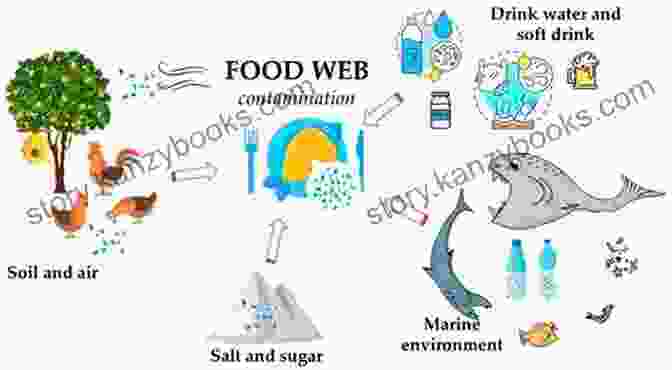 Illustration Of Microplastics Entering The Food Chain Ducks Overboard : A True Story Of Plastic In Our Oceans