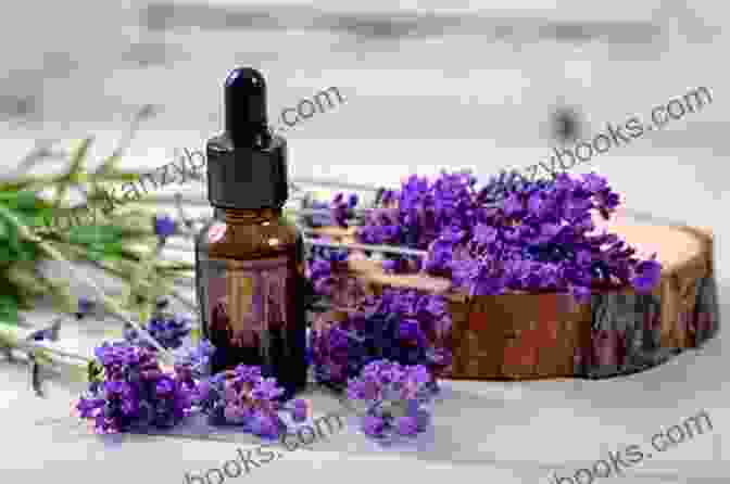 Lavender Essential Oil And Lavender Flowers Aromatherapy An : 25 Essential Oils And Their Healing Benefits