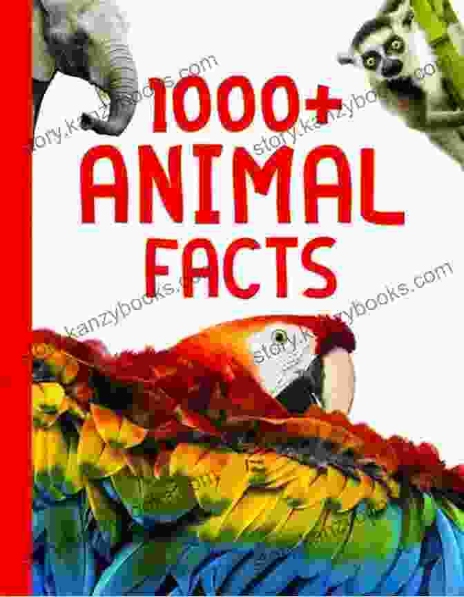 Nature Fun Fact Book Cover With Colorful Animals And Vibrant Scenery Bedtime Bible Stories Legion And Jarius 38: An Exciting Fun Fact Filled For Parents To Read To Their Children A Great Way To Teach Young Tender Minds The Wonderful Stories Of The Bible