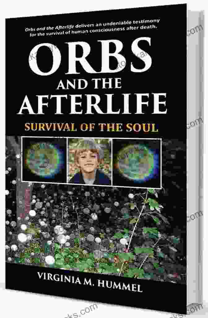 Orbs And The Afterlife Book Cover Orbs And The Afterlife: Survival Of The Soul