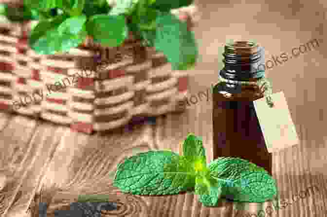 Peppermint Essential Oil And Peppermint Leaves Aromatherapy An : 25 Essential Oils And Their Healing Benefits