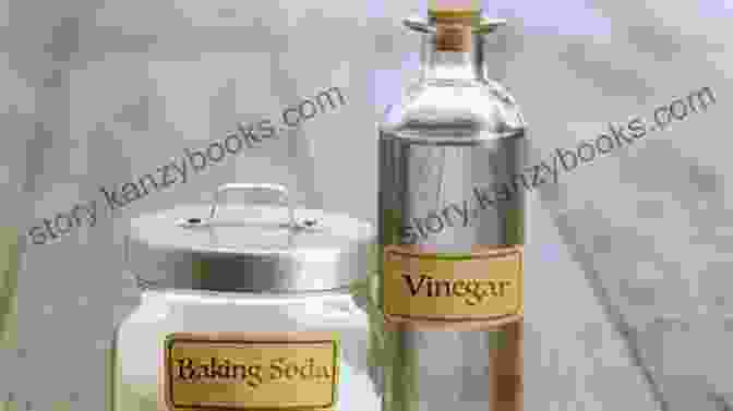 Vinegar And Baking Soda Two Volume Set The Dynamic Duo: Vinegar And Baking Soda Two Volume Set