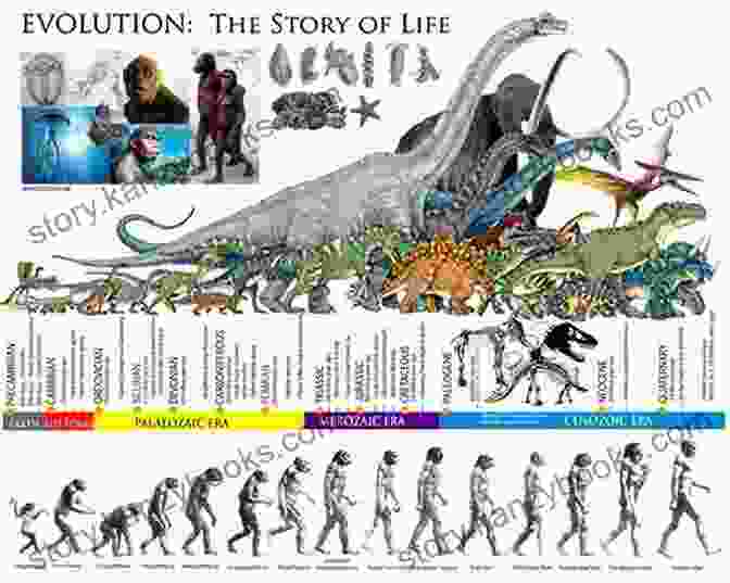 Visual Timeline Showcasing The Evolution Of Dinosaurs Over Millions Of Years Facts Of Dinosaurs: Encyclopedia For Kid To Learn About Dinosaurs