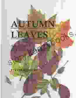 Autumn Leaves: Aging With And Without Dementia