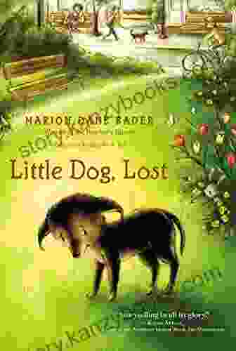 Little Dog Lost Marion Dane Bauer