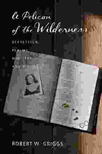 A Pelican Of The Wilderness: Depression Psalms Ministry And Movies