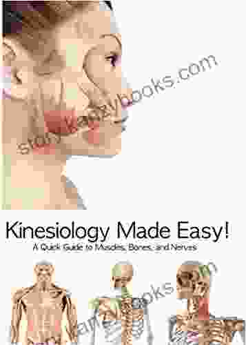 Kinesiology Made Easy : A Quick Guide to Muscles Bones and Nerves