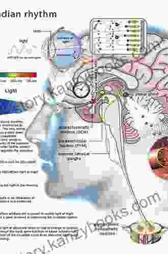 Disorders Of Sleep And Circadian Rhythms In Parkinson S Disease